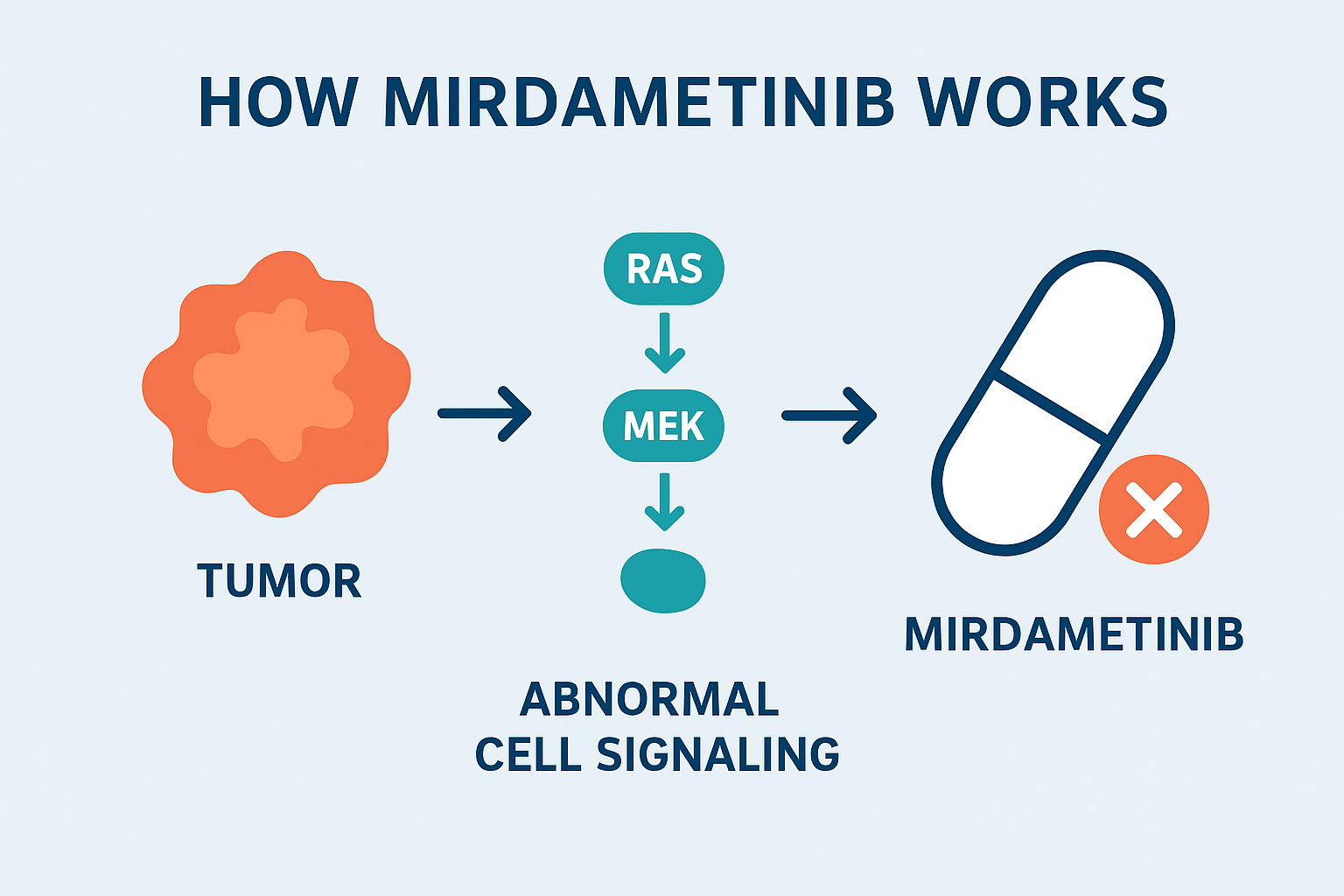 mirdametinib FDA approval 