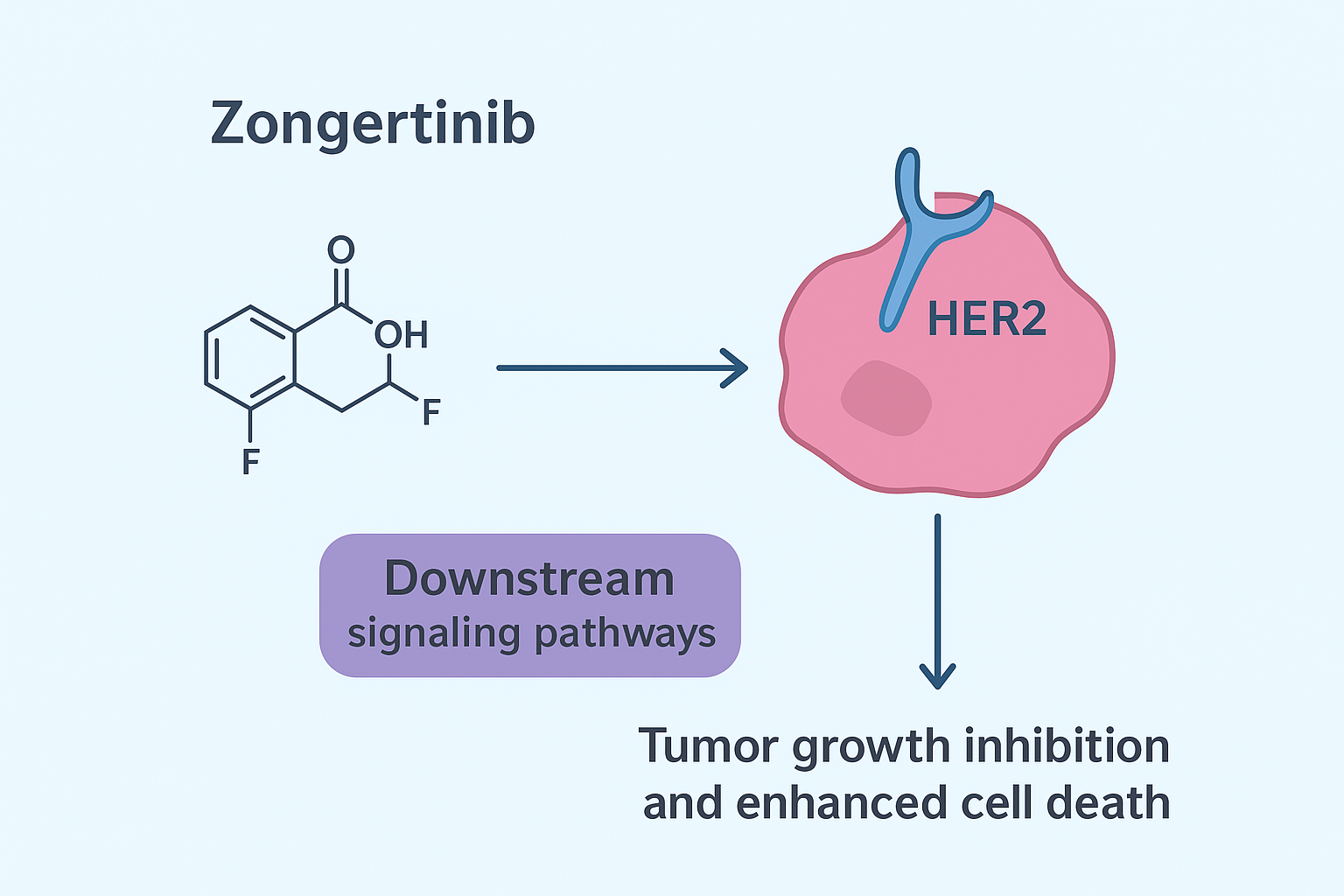 Zongertinib FDA Approval