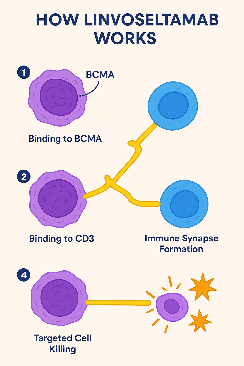 linvoseltamab FDA approval