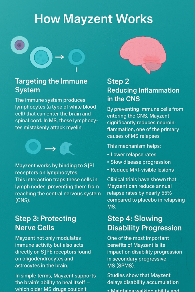 How Does Mayzent Work
