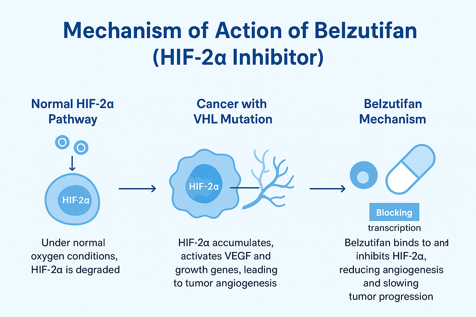 MOA & Belzutifan Side Effects