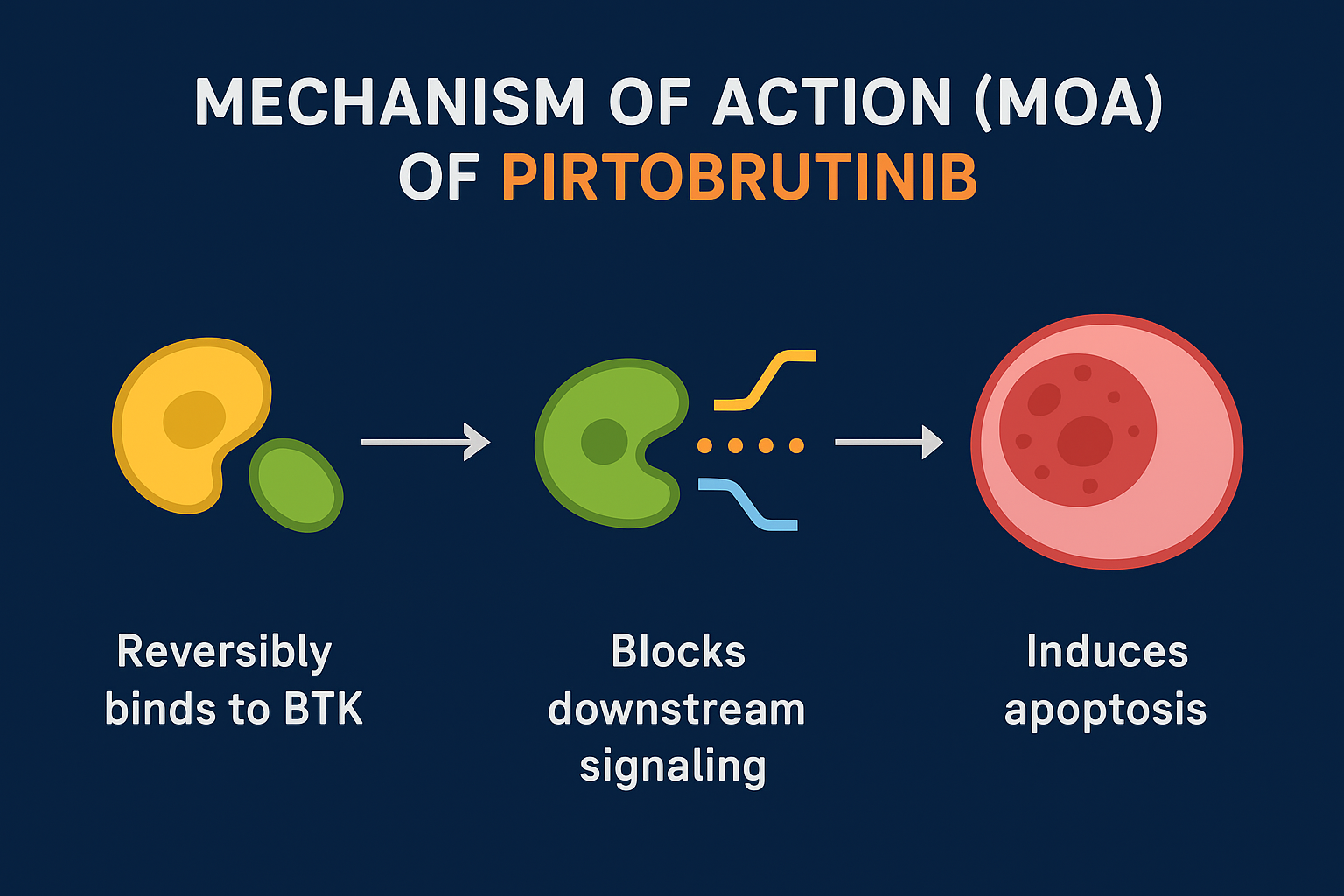 pirtobrutinib approval & MOA
