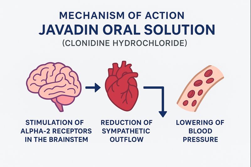 MOA Javadin oral solution