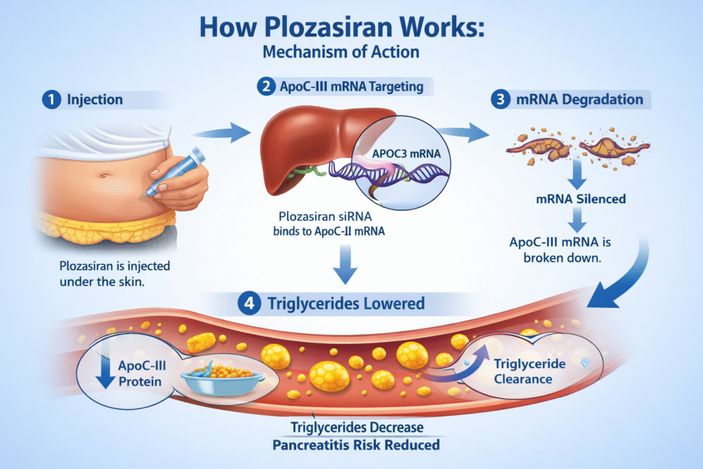 plozasiran FDA approval MOA