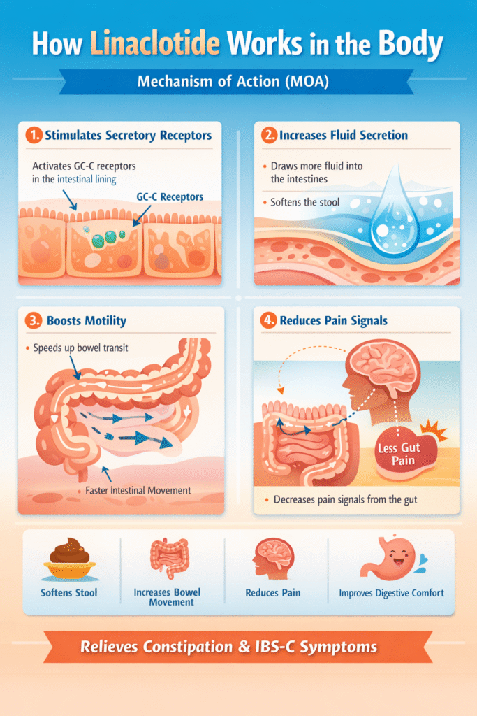 what are the side effects of linaclotide  and MOA