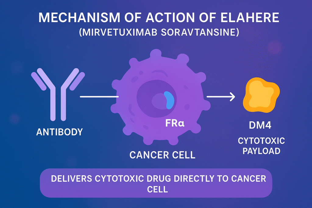 Elahere side effects & MOA