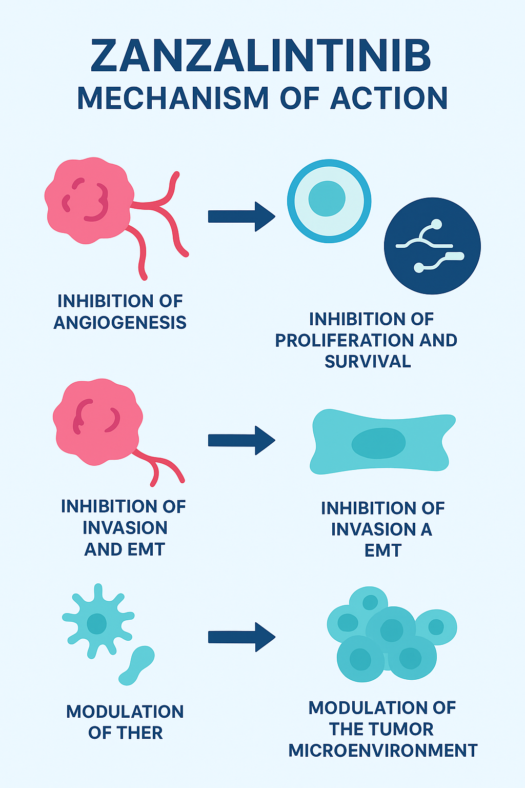 Zanzalintinib Mechanism of Action
