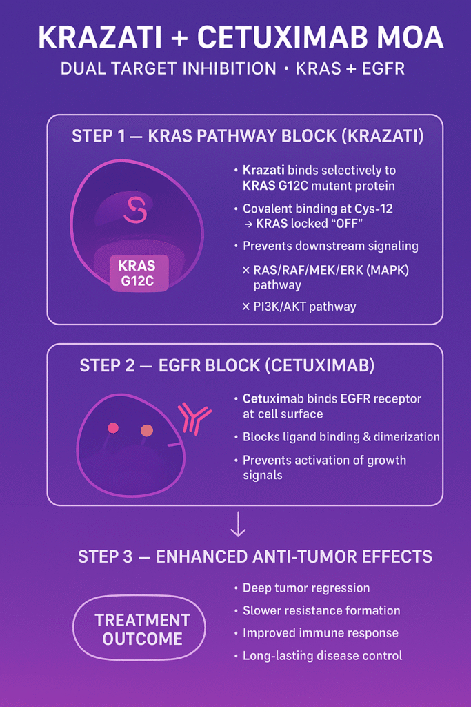 Krazati + Cetuximab Mechanism of Action