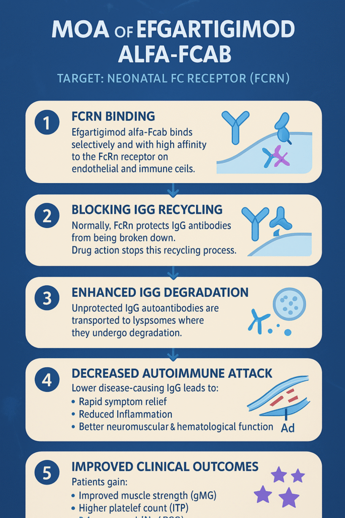 Efgartigimod Alfa-Fcab MOA