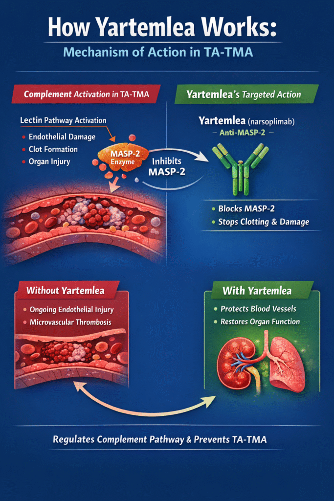 Yartemlea FDA Approval MOA
