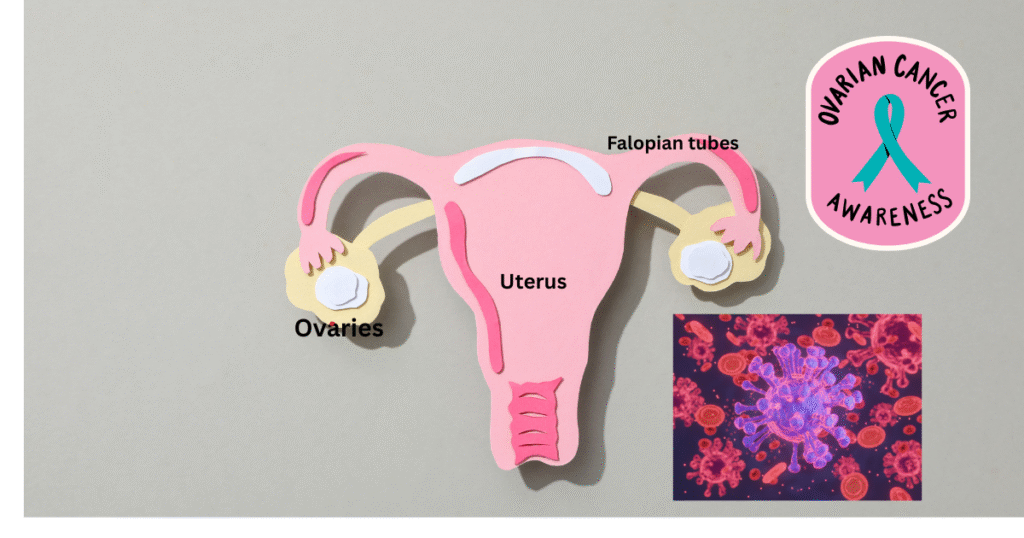 Avmapki Fakzynja for ovarian cancer